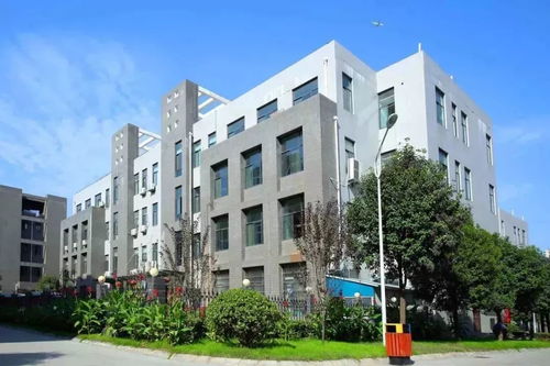 大勢(shì)起，觀未來(lái)——原創(chuàng)女裝品牌“銘鴻一族”與箱包風(fēng)尚推薦